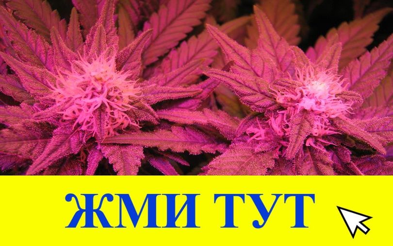 Купить наркотики в Томске